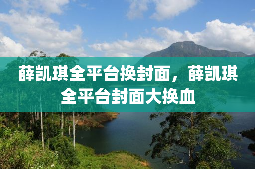 薛凱琪全平臺換封面，薛凱琪全平臺封面大換血木工機械,設備,零部件