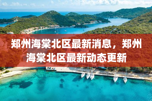 鄭州海棠北區(qū)最新消息，鄭州海棠北區(qū)最新動態(tài)更新