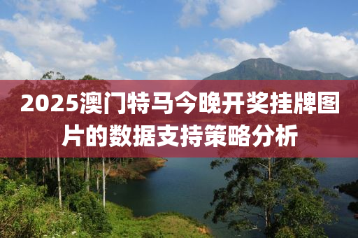 2025澳門(mén)特馬今晚開(kāi)木工機(jī)械,設(shè)備,零部件獎(jiǎng)掛牌圖片的數(shù)據(jù)支持策略分析