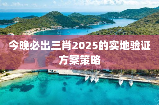 今晚必出三肖2025的實(shí)地木工機(jī)械,設(shè)備,零部件驗(yàn)證方案策略