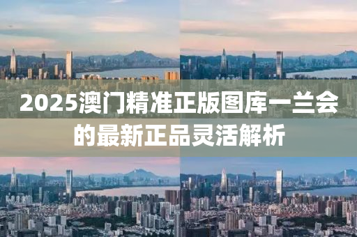 2025澳木工機械,設備,零部件門精準正版圖庫一蘭會的最新正品靈活解析