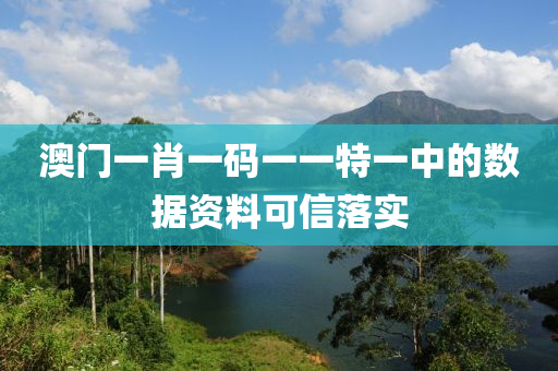 澳門一肖一碼一一特一中的數(shù)據(jù)資料可信落實(shí)木工機(jī)械,設(shè)備,零部件