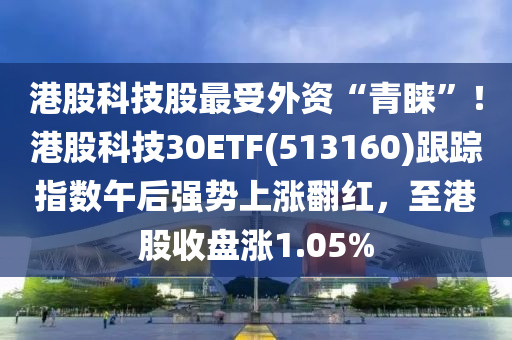 港股科技股最受外資“青睞”！港股科技30ETF(513160)跟蹤指數(shù)午后強(qiáng)勢(shì)上漲翻紅，至港股收盤(pán)漲1.05%木工機(jī)械,設(shè)備,零部件