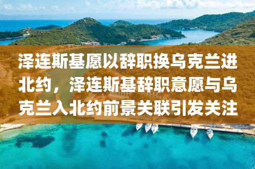 澤連斯基愿以辭職換烏克蘭進北約，澤連斯基辭職意愿與烏克蘭入北約前景關(guān)聯(lián)引發(fā)關(guān)注木工機械,設(shè)備,零部件