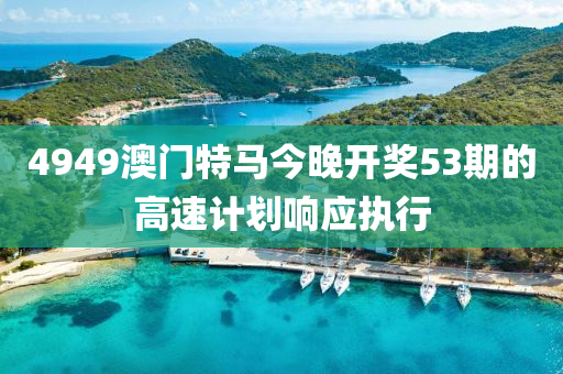 4949澳門特馬今晚開獎53期的高速計劃響應執(zhí)行木工機械,設備,零部件