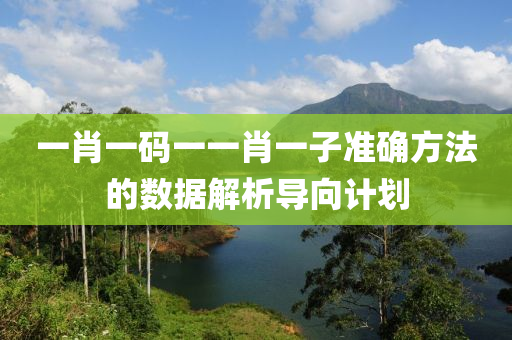 一肖一碼一一肖一子準(zhǔn)確方法的數(shù)據(jù)解析導(dǎo)向計(jì)劃