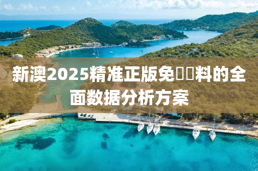 新澳2025精準(zhǔn)正版免費(fèi)資料的全面數(shù)據(jù)分析方案