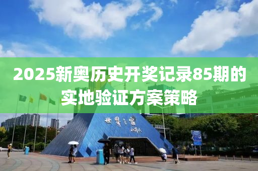 2025新奧歷史開獎記錄85期的實地驗證方案策略