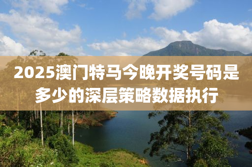 2025澳門特馬今晚開獎(jiǎng)號(hào)碼是多少的深層策略數(shù)據(jù)執(zhí)行