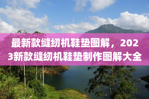 最新款縫紉機鞋墊圖解，2023新款縫紉機鞋墊制作圖解大全