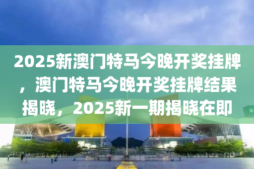 2025新澳門特馬今晚開獎掛牌，澳門特馬今晚開獎掛牌結果揭曉，2025新一期揭曉在即木工機械,設備,零部件