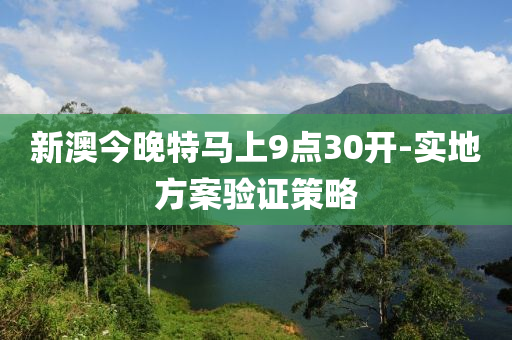 新澳今晚特馬上9點(diǎn)30開(kāi)-實(shí)地方案驗(yàn)證策略木工機(jī)械,設(shè)備,零部件