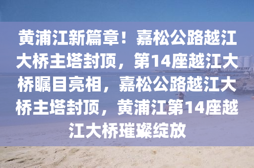 黃浦江新篇章！嘉松公路越江大橋主塔封頂，第14座越江大橋矚目亮相，嘉松公路越江大橋主塔封頂，黃浦江第14座越江大橋璀璨綻放木工機(jī)械,設(shè)備,零部件