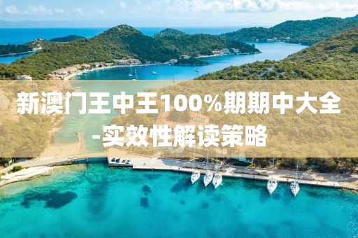 新澳門王中王100%期期中大全-實效性解讀策略