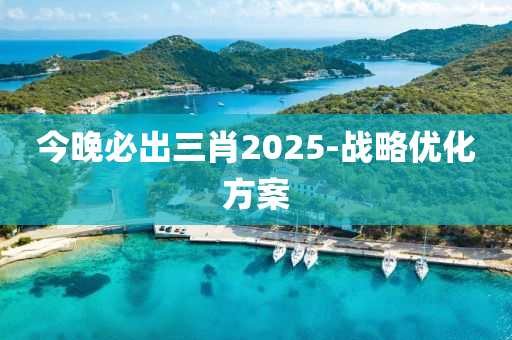 今晚必出三肖2025-戰(zhàn)略優(yōu)化方案