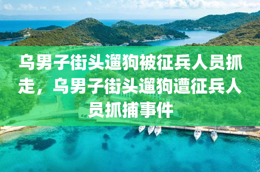 烏男子街頭遛狗被征兵人員抓走，烏男子街頭遛狗遭征兵人員抓捕事件木工機械,設備,零部件