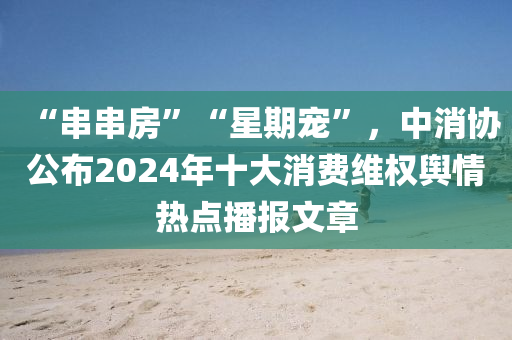 2025年3月17日 第58頁