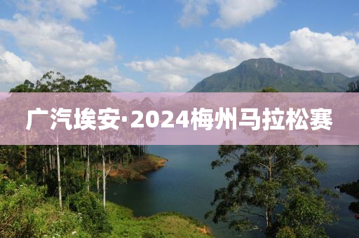 廣汽埃安·2024梅州馬拉松賽木工機(jī)械,設(shè)備,零部件