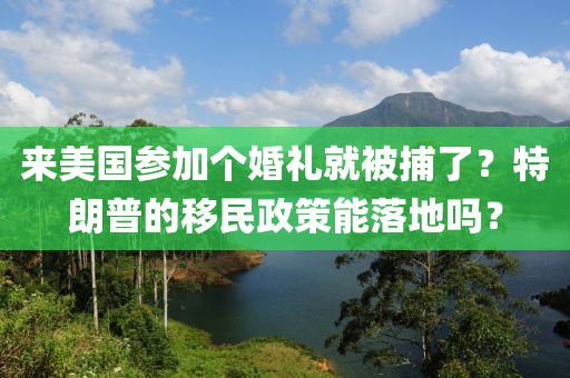 來美國參加個(gè)婚禮就被捕了？特朗普的移民政策能落地嗎？木工機(jī)械,設(shè)備,零部件