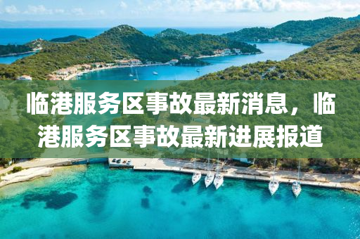 臨港服務區(qū)事故最新消息，臨港服務區(qū)事故最新進展報道木工機械,設備,零部件