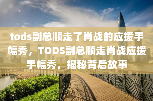 tods副總順走了肖戰(zhàn)的應(yīng)援手幅秀，TODS副總順走肖戰(zhàn)應(yīng)援手幅秀，揭秘背后故事木工機(jī)械,設(shè)備,零部件