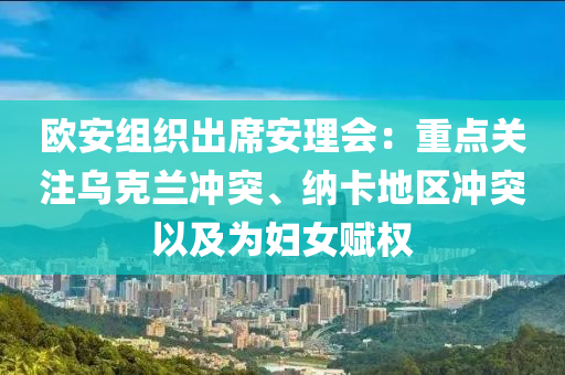 歐安組織出席安理會：重點(diǎn)關(guān)注烏克蘭沖突、納卡地區(qū)沖突以及為婦女賦權(quán)木工機(jī)械,設(shè)備,零部件