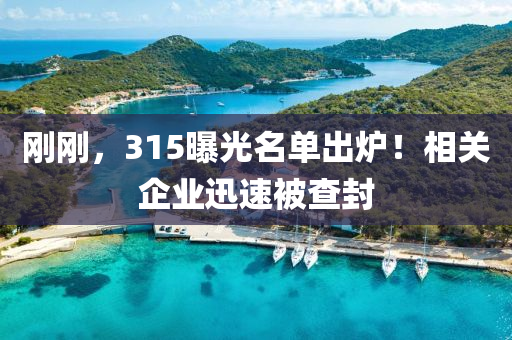 剛剛，315曝光名單出爐！相關企業(yè)迅速被查封