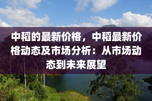 中稻的最新價格，中稻最新價格動態(tài)及市場分析：從市場動態(tài)到未來展望