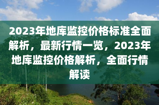 2023年地庫(kù)監(jiān)控價(jià)格標(biāo)準(zhǔn)全面解析，最新行情一覽，2023年地庫(kù)監(jiān)控價(jià)格解析，全面行情解讀