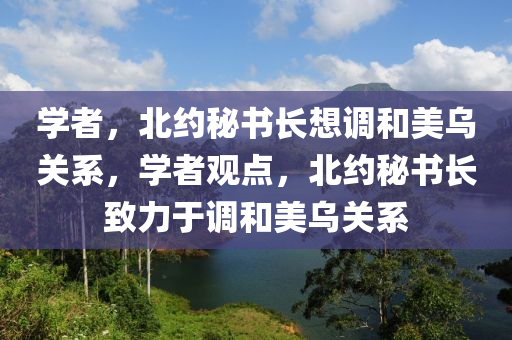 學者，北約秘書長想調和美烏關系，學者觀點，北約秘書長致力于調和美烏關系木工機械,設備,零部件