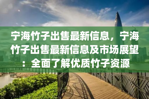 寧海竹子出售最新信息，寧海竹子出售最新信息及市場(chǎng)展望：全面了解優(yōu)質(zhì)竹子資源