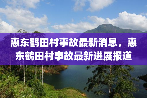 惠東鶴田村事故最新消息，惠東鶴田村事故最新進(jìn)展報(bào)道木工機(jī)械,設(shè)備,零部件