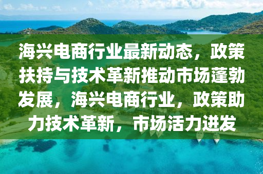 海興電商行業(yè)最新動態(tài)，政策扶持與技術革新推動市場蓬勃發(fā)展，海興電商行業(yè)，政策助力技術革新，市場活力迸發(fā)