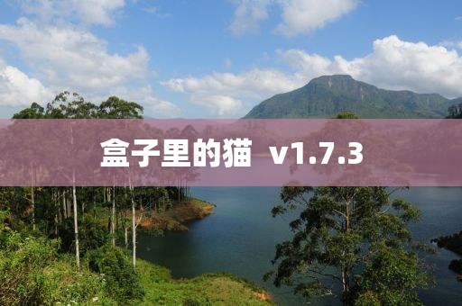 盒子里的貓  v1.7.3