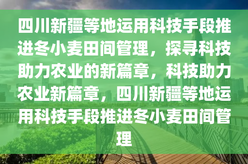 四川新疆等地運用科技手段推進冬小麥田間管理，探尋科技助力農(nóng)業(yè)的新篇章，科技助力農(nóng)業(yè)新篇章，四川新疆等地運用科技手段推進冬小麥田間管理木工機械,設備,零部件