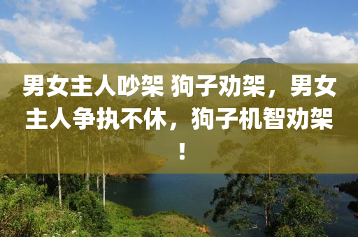 男女主人吵架 狗子勸架，男女主人爭執(zhí)不休，狗子機智勸架！木工機械,設備,零部件