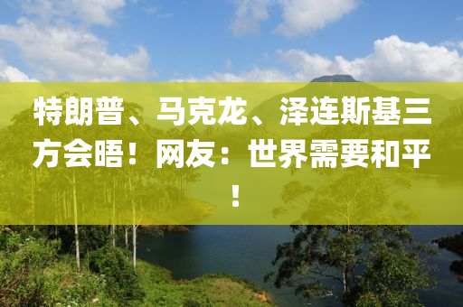 特朗普、木工機(jī)械,設(shè)備,零部件馬克龍、澤連斯基三方會(huì)晤！網(wǎng)友：世界需要和平！