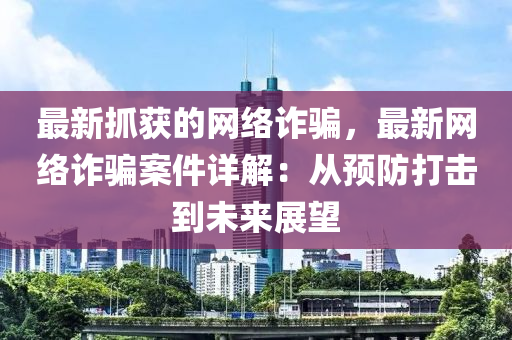 最新抓獲的網(wǎng)絡(luò)詐騙，最新網(wǎng)絡(luò)詐騙案件詳解：從預(yù)防打擊到未來展望