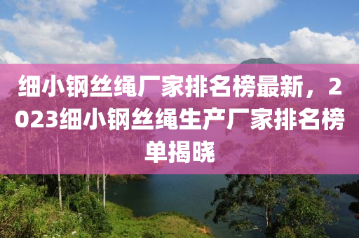 細(xì)小鋼絲繩廠家排名榜最新，2023細(xì)小鋼絲繩生產(chǎn)廠家排名榜單揭曉