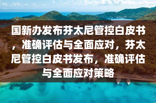 國新辦發(fā)布芬太尼管控白皮書，準確評估與全面應對，芬太尼管控白皮書發(fā)布，準確評估與全面應對策略