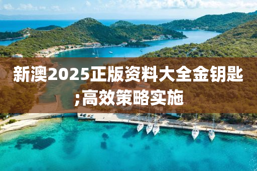 新澳2025正版資料大全金鑰匙;高效策略實(shí)施