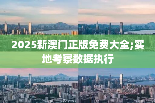 2025新澳門正版免費(fèi)大全;實(shí)地考察數(shù)據(jù)執(zhí)行