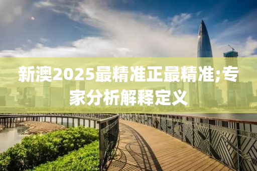 新澳2025最精準正最精準;專家分析解釋定義