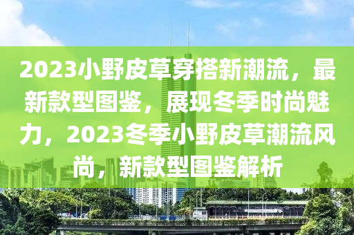 2023小野皮草穿搭新潮流，最新款型圖鑒，展現(xiàn)冬季時尚魅力，2023冬季小野皮草潮流風(fēng)尚，新款型圖鑒解析