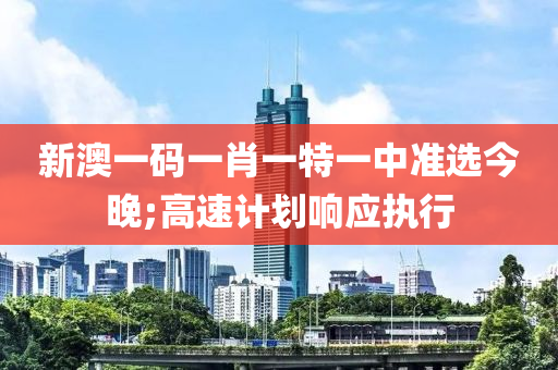 新澳一碼一肖一特一中準(zhǔn)選今晚;高速計劃響應(yīng)執(zhí)行