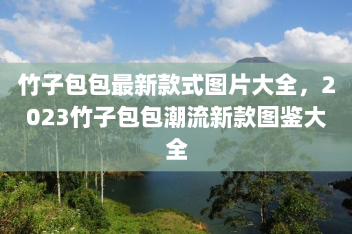 竹子包包最新款式圖片大全，2023竹子包包潮流新款圖鑒大全