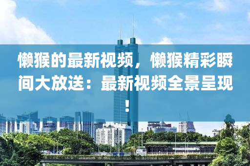 懶猴的最新視頻，懶猴精彩木工機(jī)械,設(shè)備,零部件瞬間大放送：最新視頻全景呈現(xiàn)！