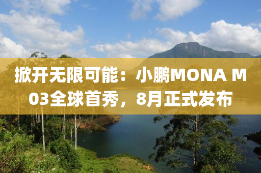 掀開無限可能木工機(jī)械,設(shè)備,零部件：小鵬MONA M03全球首秀，8月正式發(fā)布