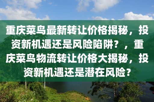 重慶菜鳥最新轉讓價格揭秘，投資新機遇還是風險陷阱？，重慶菜鳥物流轉讓價格大揭秘，投資新機遇還是潛在風險？