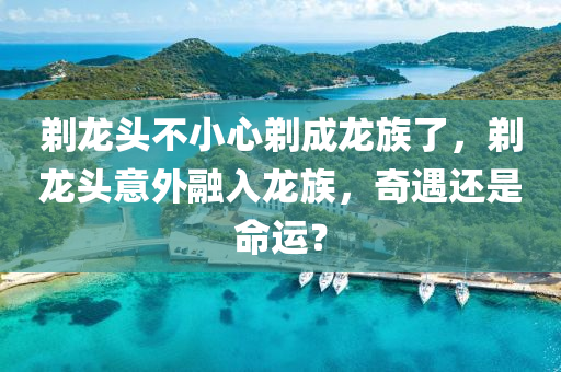 剃龍頭不小心剃成龍族了，剃龍頭意外融入龍族，奇遇還是命運？木工機械,設(shè)備,零部件